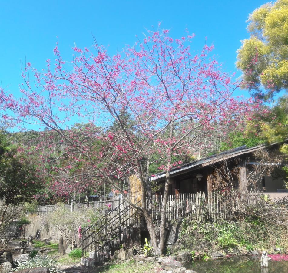 Bright Moon Homestay Dongshi  Extérieur photo