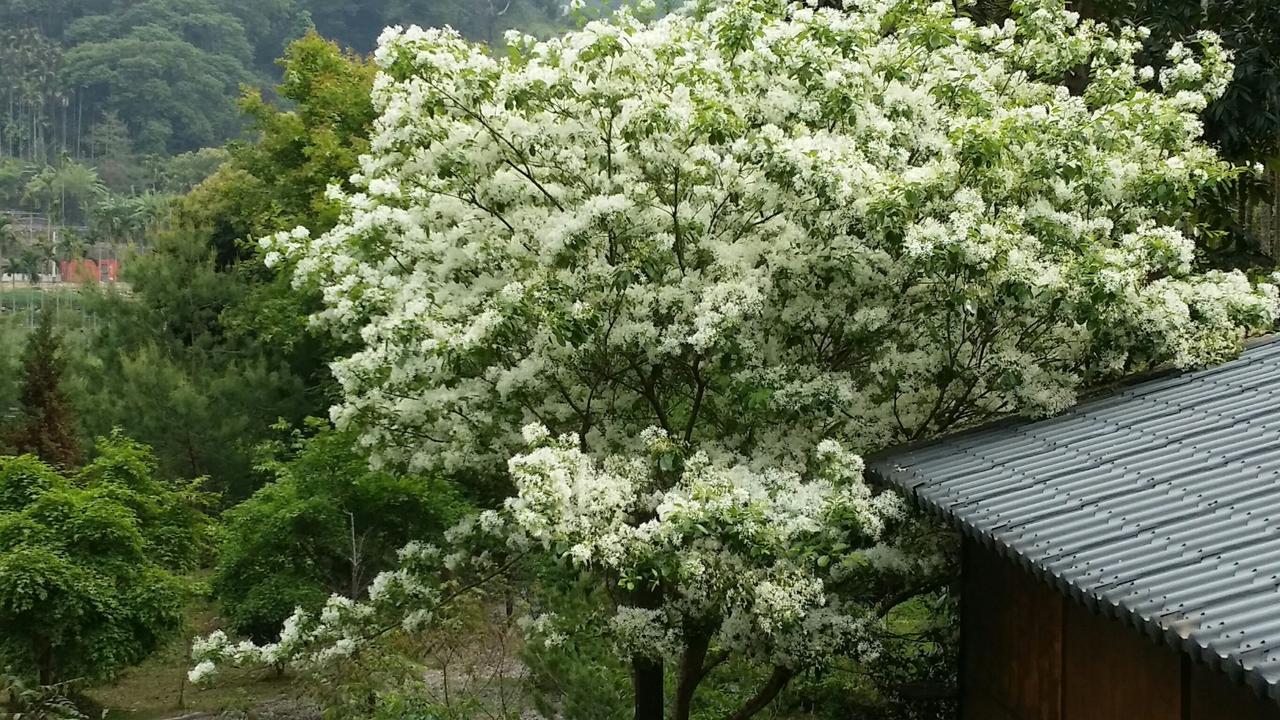 Bright Moon Homestay Dongshi  Extérieur photo