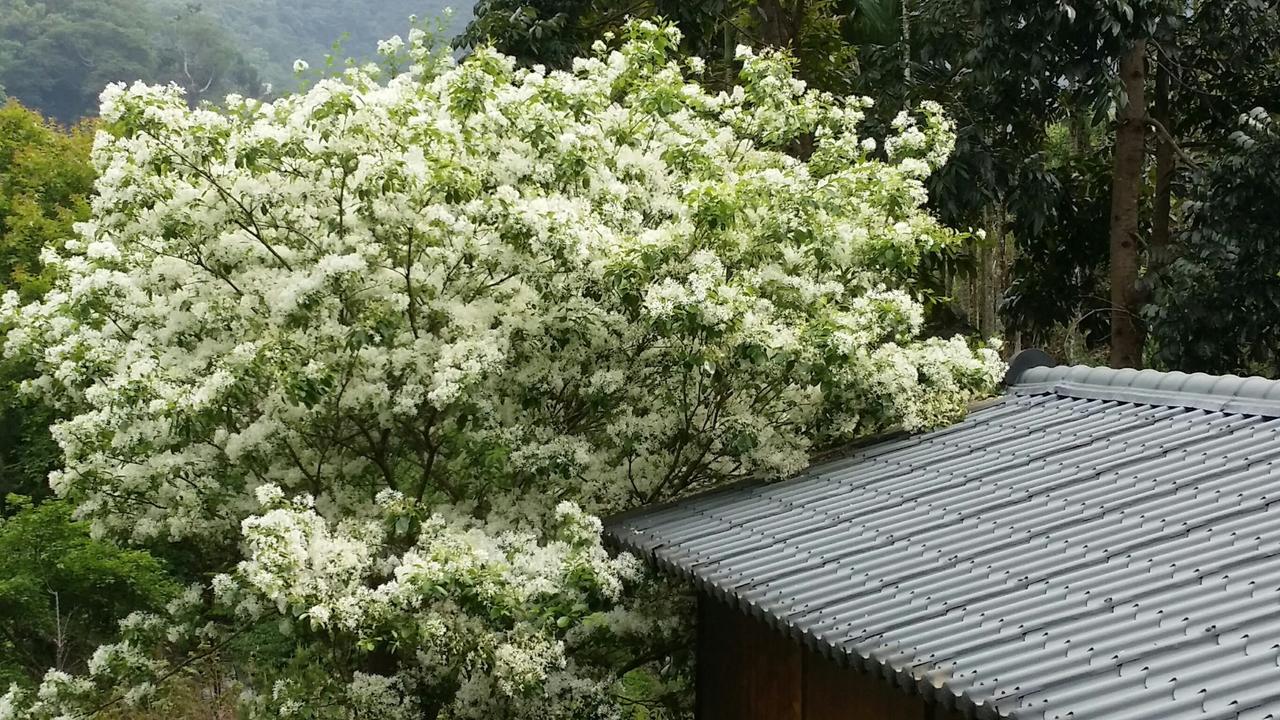 Bright Moon Homestay Dongshi  Extérieur photo