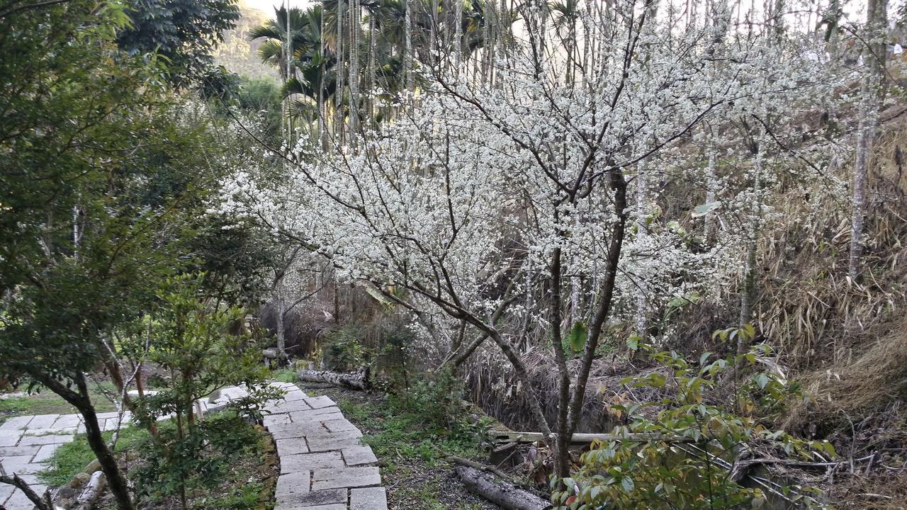 Bright Moon Homestay Dongshi  Extérieur photo